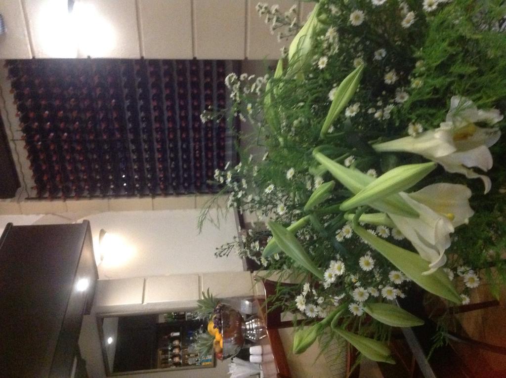 Apollo Hotel Johannesburg Ngoại thất bức ảnh
